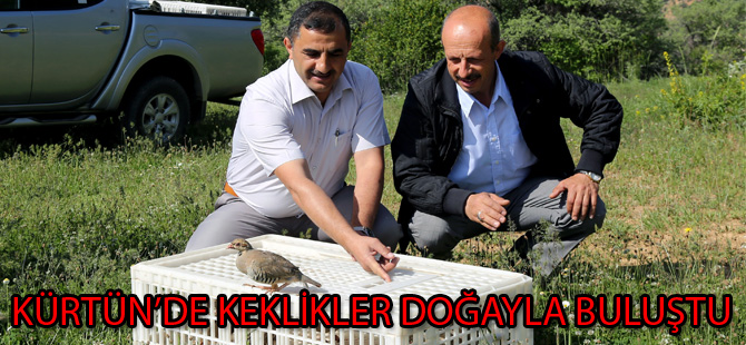 KÜRTÜN’DE KEKLİKLER DOĞAYLA BULUŞTU