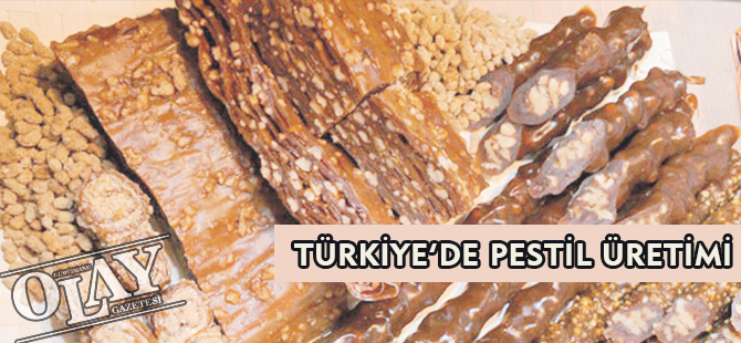 TÜRKİYE’DE PESTİL ÜRETİMİ