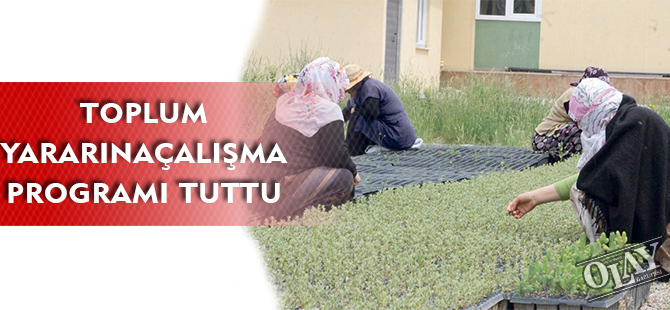 TOPLUM YARARINA ÇALIŞMA PROGRAMI TUTTU