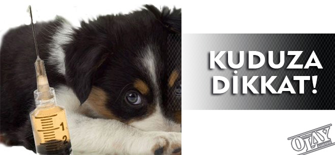 KUDUZA DİKKAT