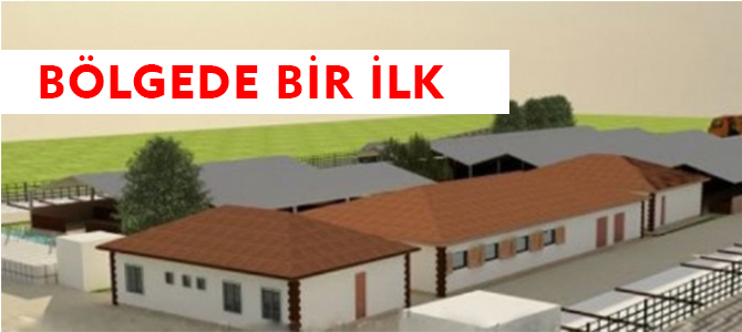 BÖLGEDE BİR İLK