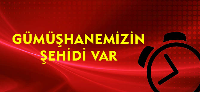 GÜMÜŞHANEMİZİN ŞEHİDİ VAR