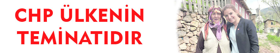 CHP ÜLKENİN TEMİNATIDIR