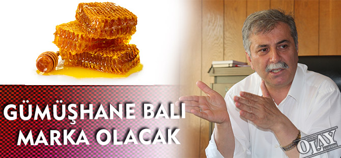 GÜMÜŞHANE BALI MARKA OLACAK