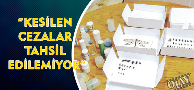 “KESİLEN CEZALAR TAHSİL EDİLEMİYOR”