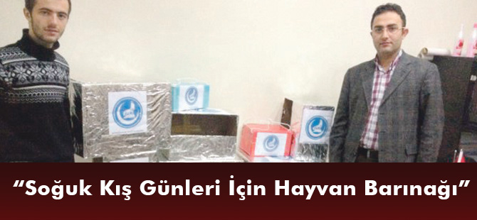 “Soğuk Kış Günleri İçin Hayvan Barınağı'”