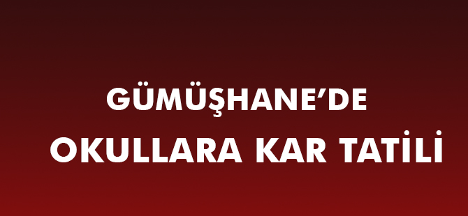 GÜMÜŞHANE’DE OKULLARA KAR TATİLİ