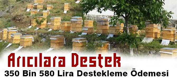 Arıcılara Destek