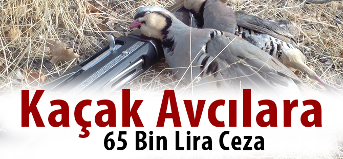 Kaçak Avcılara 65 Bin Lira Ceza