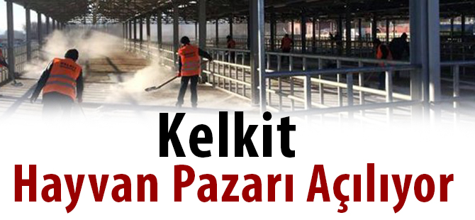 Kelkit Hayvan Pazarı Açılıyor