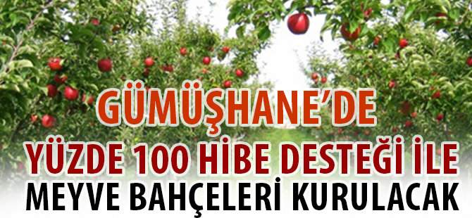 GÜMÜŞHANE’DE YÜZDE 100 HİBE DESTEĞİ İLE MEYVE BAHÇELERİ KURULACAK