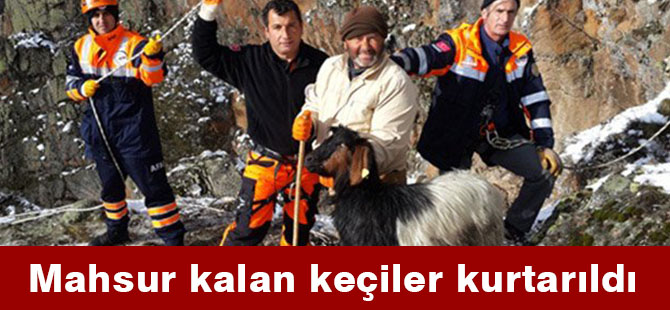 Mahsur kalan keçiler kurtarıldı