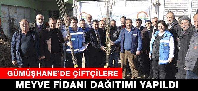 GÜMÜŞHANE’DE ÇİFTÇİLERE MEYVE FİDANI DAĞITIMI YAPILDI