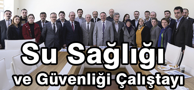 Su Sağlığı ve Güvenliği Çalıştayı