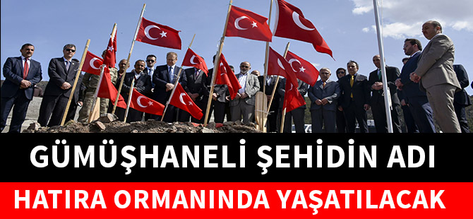 GÜMÜŞHANELİ ŞEHİDİN ADI HATIRA ORMANINDA YAŞATILACAK