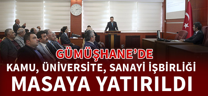 GÜMÜŞHANE’DE KAMU, ÜNİVERSİTE, SANAYİ İŞBİRLİĞİ MASAYA YATIRILDI