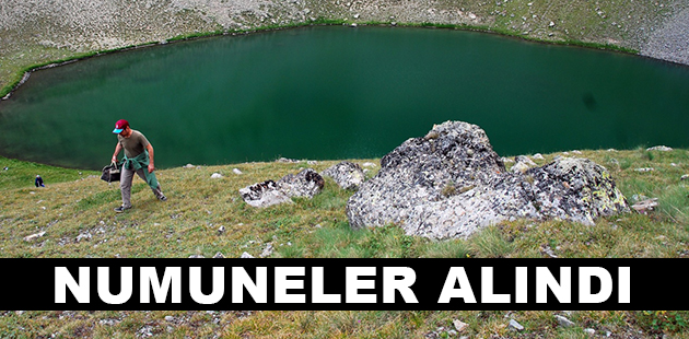 NUMUNELER ALINDI