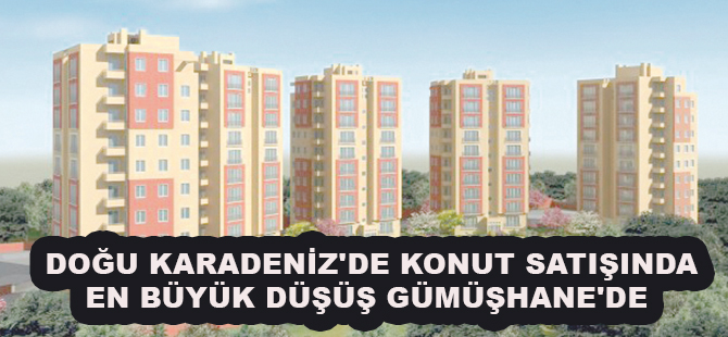 DOĞU KARADENİZ'DE KONUT SATIŞINDA EN BÜYÜK DÜŞÜŞ GÜMÜŞHANE'DE