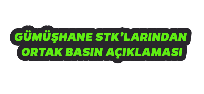 GÜMÜŞHANE STK’LARINDAN ORTAK BASIN AÇIKLAMASI