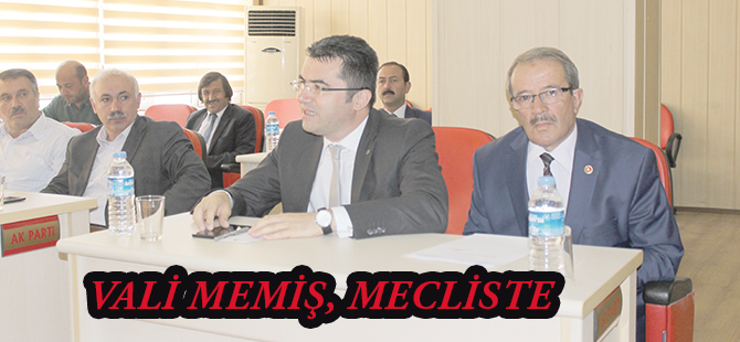 VALİ MEMİŞ, MECLİSTE