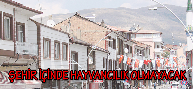 ŞEHİR İÇİNDE HAYVANCILIK OLMAYACAK