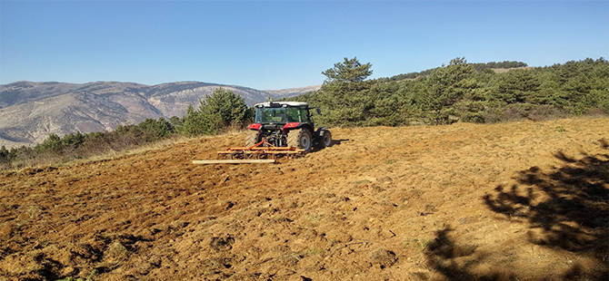 KUŞLAR AÇ KALMASIN DİYE YILLARDIR EKİLMEYEN TARLALAR EKİLİYOR