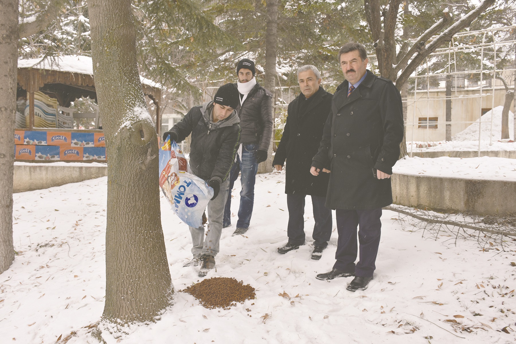 BELEDİYE SOKAK HAYVANLARINA YEM BIRAKTI