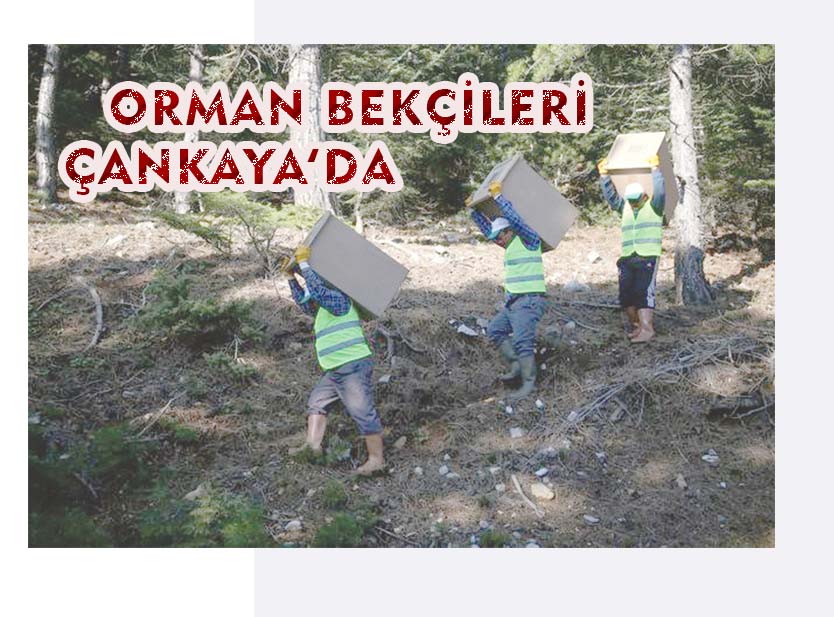 ORMAN BEKÇİLERİ ÇANKAYA’DA