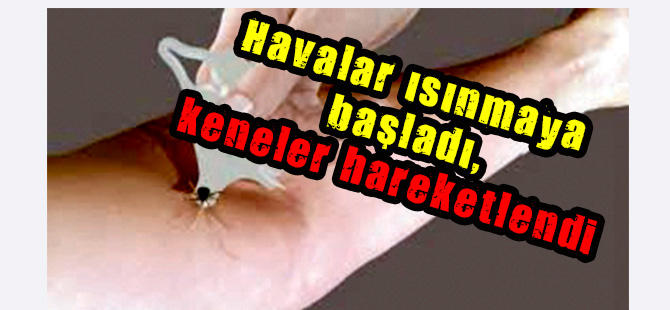 Havalar ısınmaya başladı, keneler hareketlendi