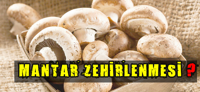 MANTAR ZEHİRLENMESİ