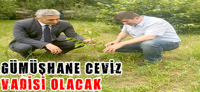 GÜMÜŞHANE CEVİZ VADİSİ OLACAK