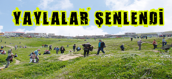 YAYLALAR ŞENLENDİ