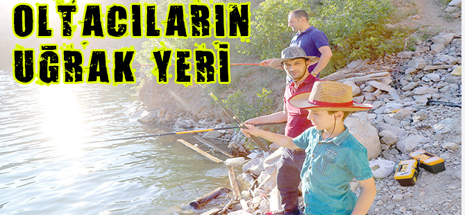 OLTACILARIN UĞRAK YERİ