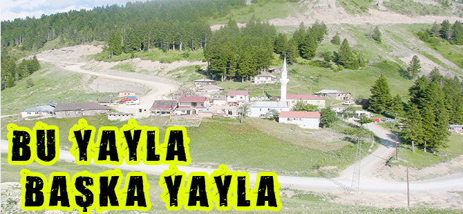 BU YAYLA BAŞKA YAYLA