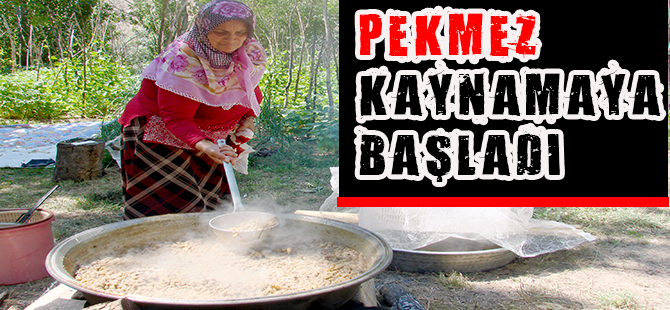 PEKMEZ KAYNAMAYA BAŞLADI