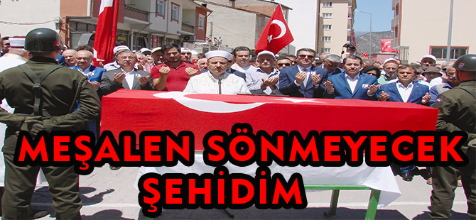 MEŞALEN SÖNMEYECEK ŞEHİDİM