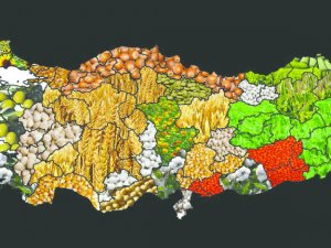 Desteklenecek Ürünlerin Listesi Yayımlandı