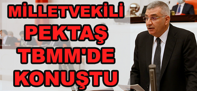 MİLLETVEKİLİ PEKTAŞ TBMM'DE KONUŞTU