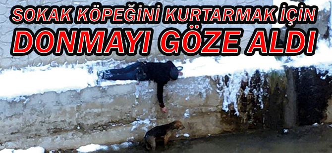 SOKAK KÖPEĞİNİ KURTARMAK İÇİN DONMAYI GÖZE ALDI