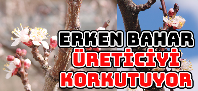 ERKEN BAHAR ÜRETİCİYİ KORKUTUYOR