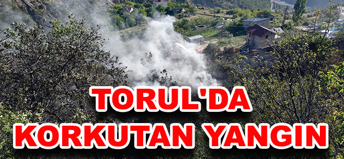 TORUL'DA KORKUTAN YANGIN