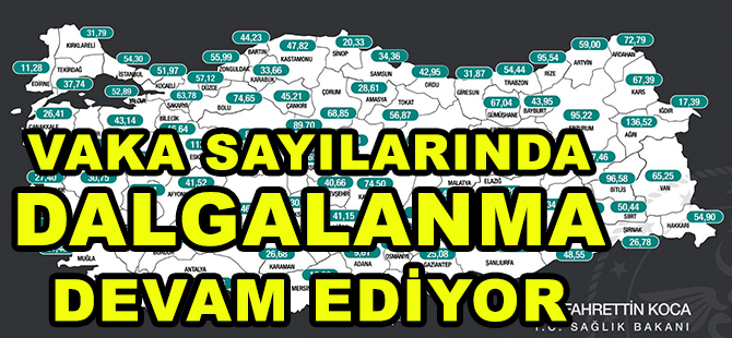 VAKA SAYILARINDA DALGALANMA DEVAM EDİYOR