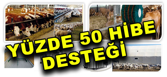 BÜYÜKBAŞ VE KÜÇÜKBAŞ HAYVANCILIK İŞLETMELERİNE YÜZDE 50 HİBE DESTEĞİ