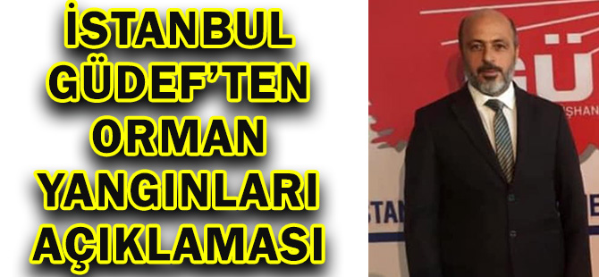 İSTANBUL GÜDEF’TEN ORMAN YANGINLARI AÇIKLAMASI