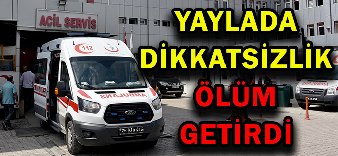 YAYLADA DİKKATSİZLİK  ÖLÜM GETİRDİ