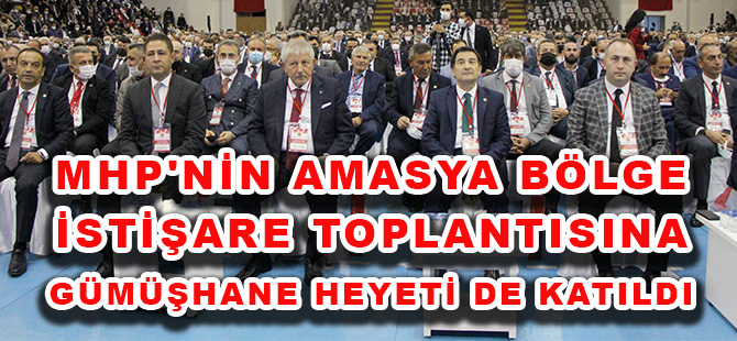 MHP'NİN AMASYA BÖLGE İSTİŞARE TOPLANTISINA GÜMÜŞHANE HEYETİ DE KATILDI