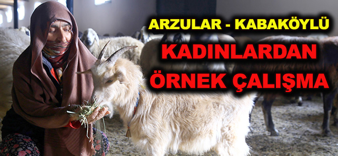 ARZULAR - KABAKÖYLÜ KADINLARDAN ÖRNEK ÇALIŞMA