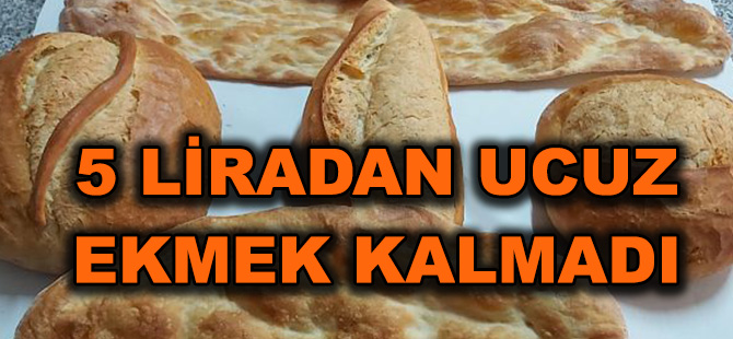 5 LİRADAN UCUZ EKMEK KALMADI