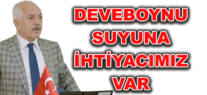 DEVEBOYNU SUYUNA İHTİYACIMIZ VAR