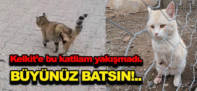 Kelkit’e bu katliam yakışmadı.  BÜYÜNÜZ BATSIN!..